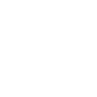 Amadeus logo